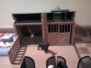 dvoj box s Lindou(psem staje)